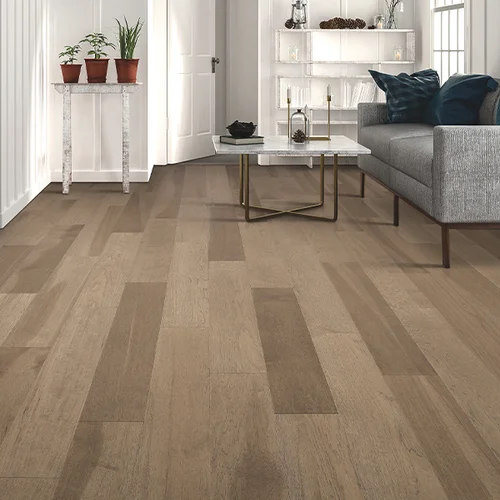 Nistler Floor Covering providing pet-friendly waterproof vinyl flooring in Walker, MN